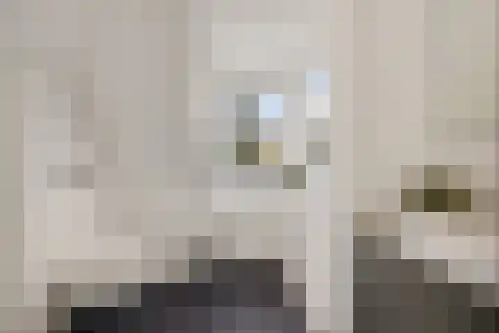 Agaatdreef 60 Emmen thumbnail 24