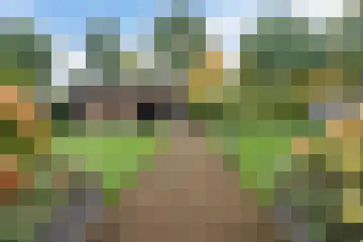 Agaatdreef 60 Emmen thumbnail 34