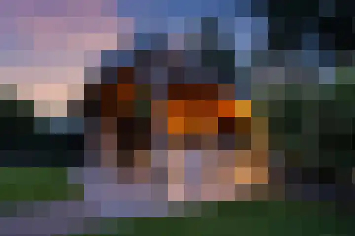 Agaatdreef 60 Emmen thumbnail 37
