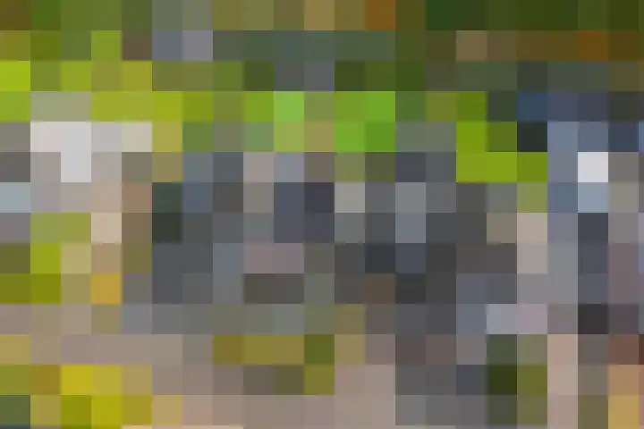Agaatdreef 60 Emmen thumbnail 38