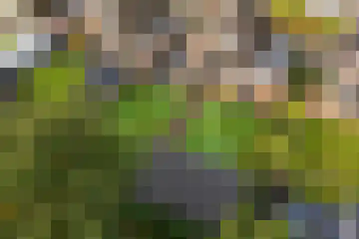 Agaatdreef 60 Emmen thumbnail 39
