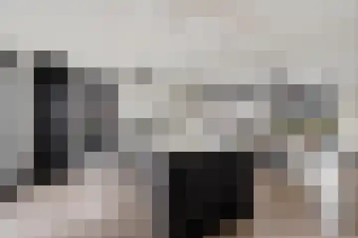 Agaatdreef 60 Emmen thumbnail 5