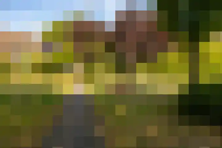 Agaatdrift 29 Nieuwegein thumbnail 20