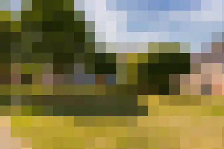 Agaatdrift 29 Nieuwegein thumbnail 21
