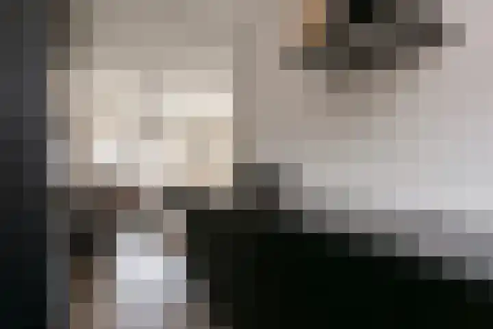 Agaatdrift 29 Nieuwegein thumbnail 7
