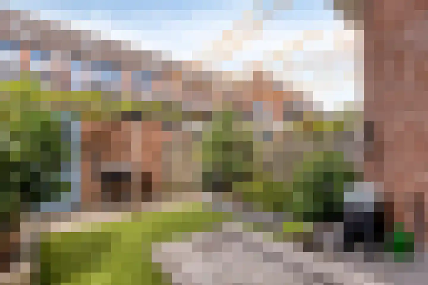 Agaatdrift 36 Nieuwegein thumbnail 22