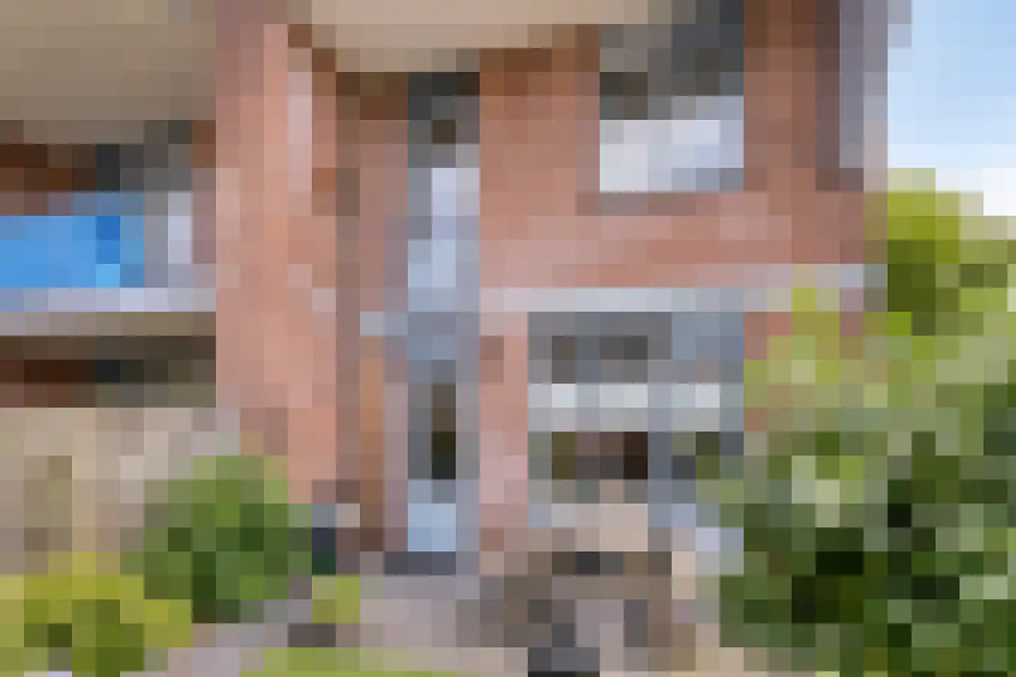 Agaatdrift 36 Nieuwegein thumbnail 24