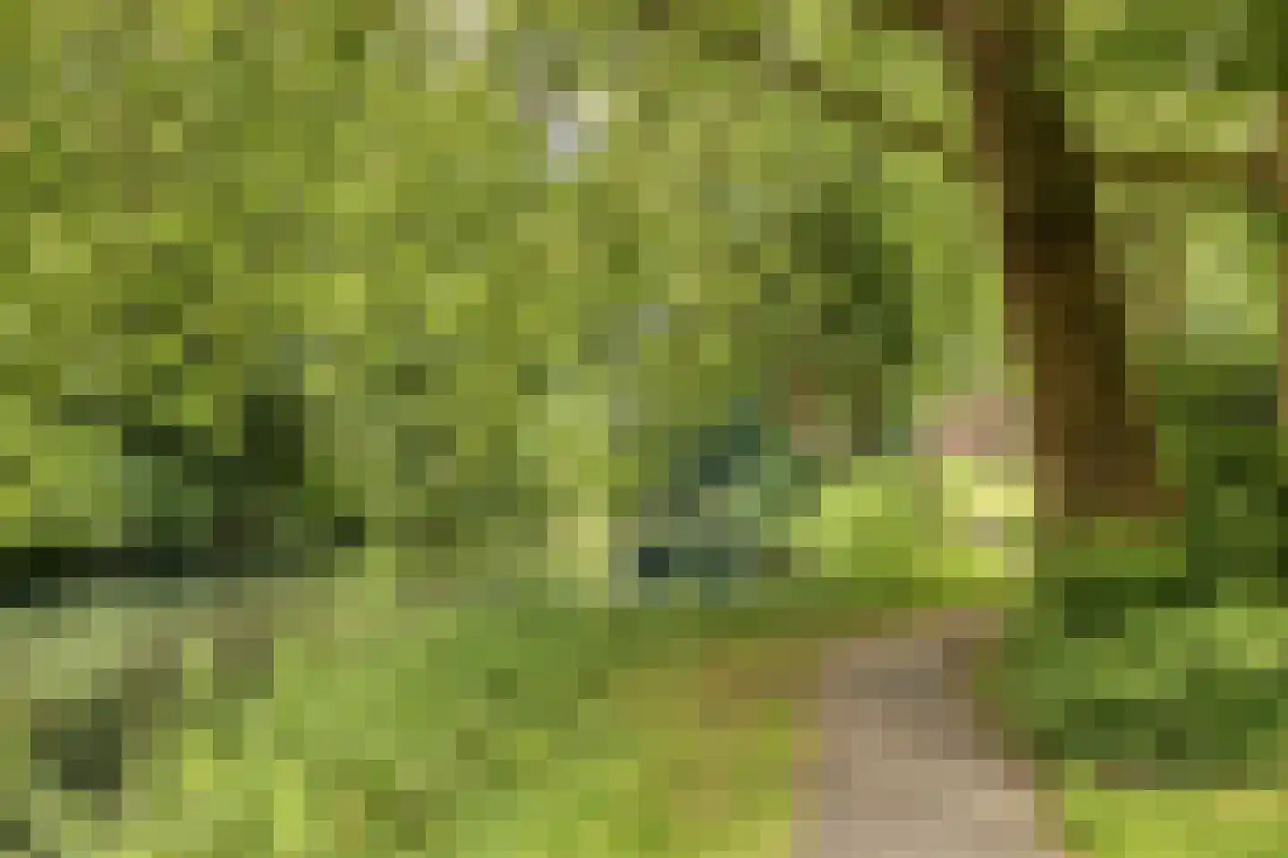 Agaatdrift 36 Nieuwegein thumbnail 31