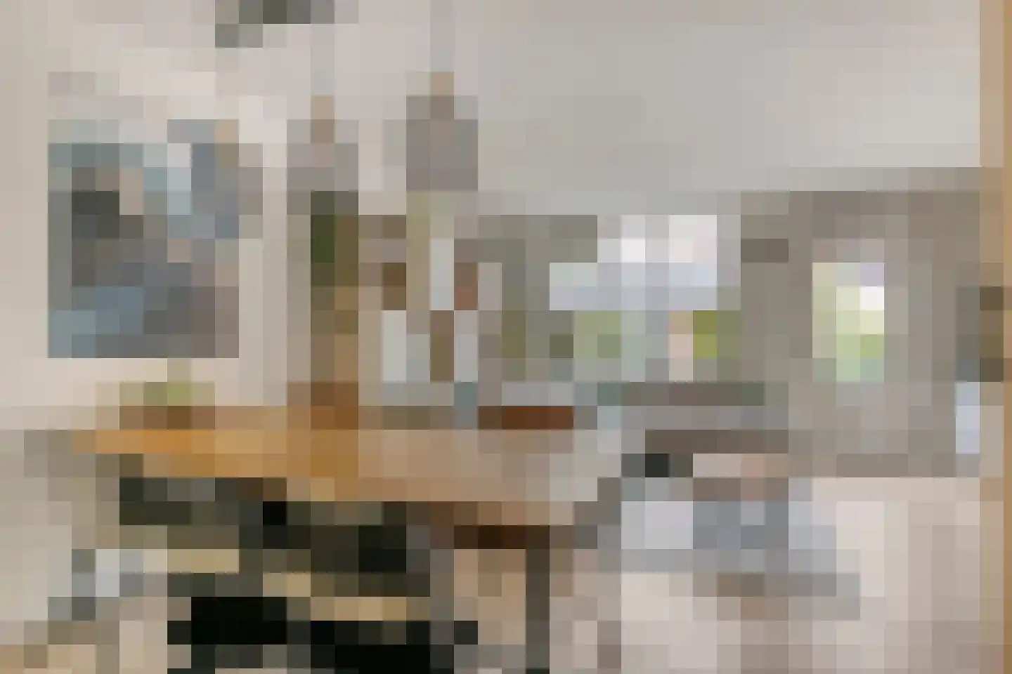 Agaatdrift 36 Nieuwegein thumbnail 8