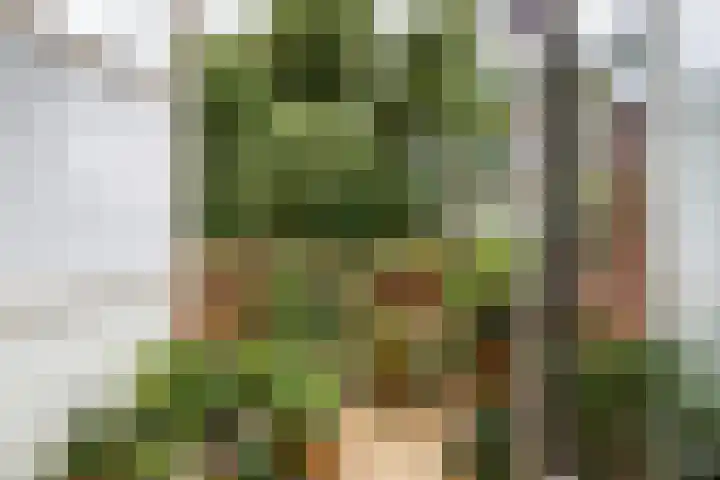 Agaatlaan 17 1 Utrecht thumbnail 10