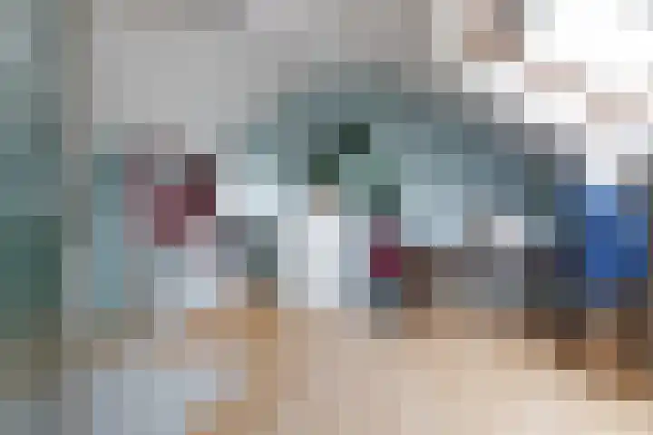 Agaatlaan 17 1 Utrecht thumbnail 11