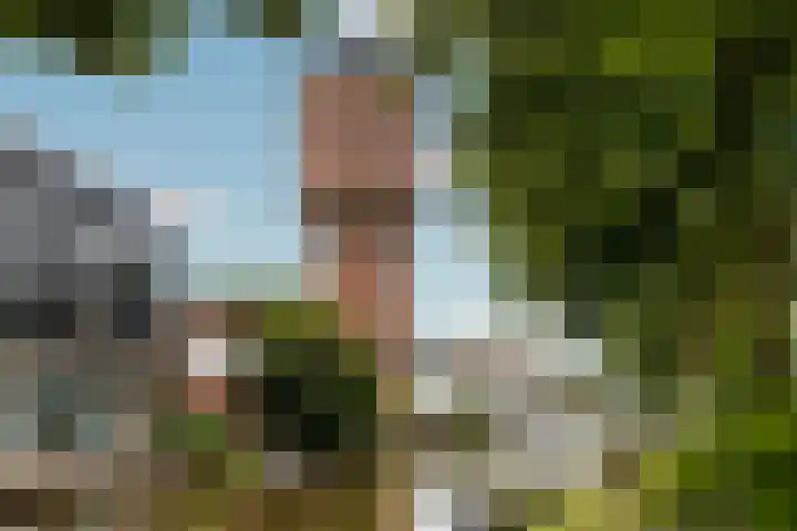 Agaatlaan 17 1 Utrecht thumbnail 20