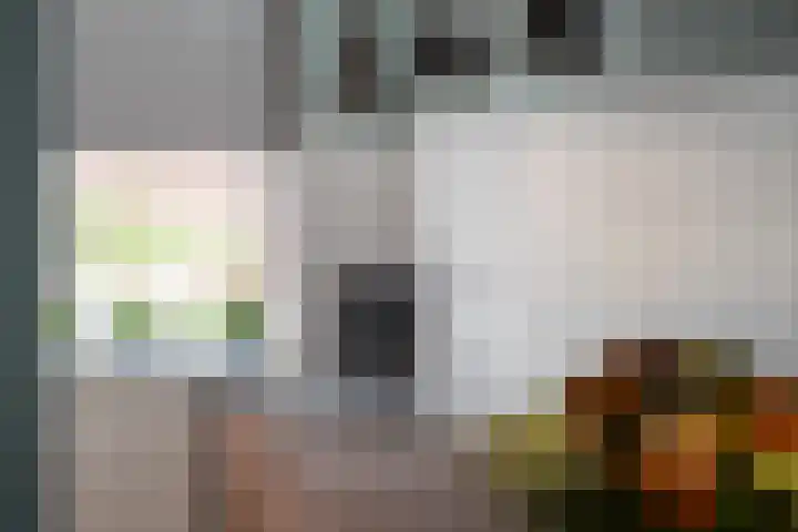 Agaatlaan 19 Rhoon thumbnail 14