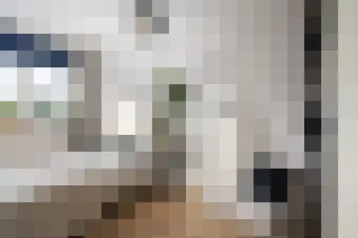 Agaatlaan 19 Rhoon thumbnail 18