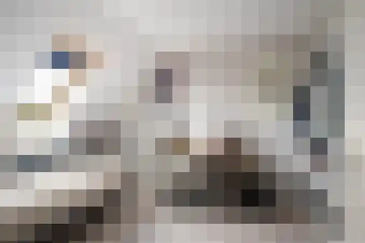 Agaatlaan 19 Rhoon thumbnail 28