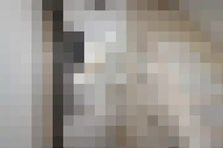 Agaatlaan 19 Rhoon thumbnail 29