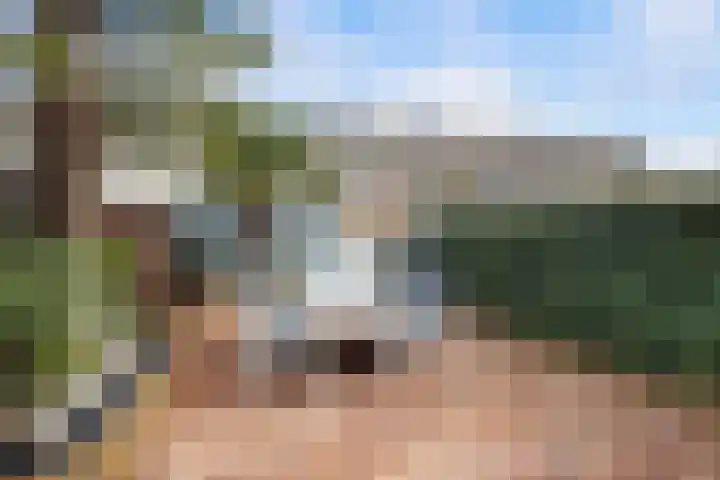 Agaatlaan 19 Rhoon thumbnail 34