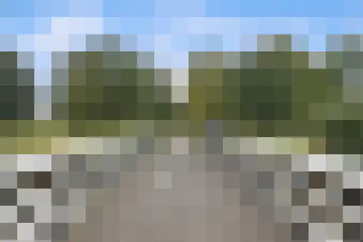 Agaatlaan 19 Rhoon thumbnail 38
