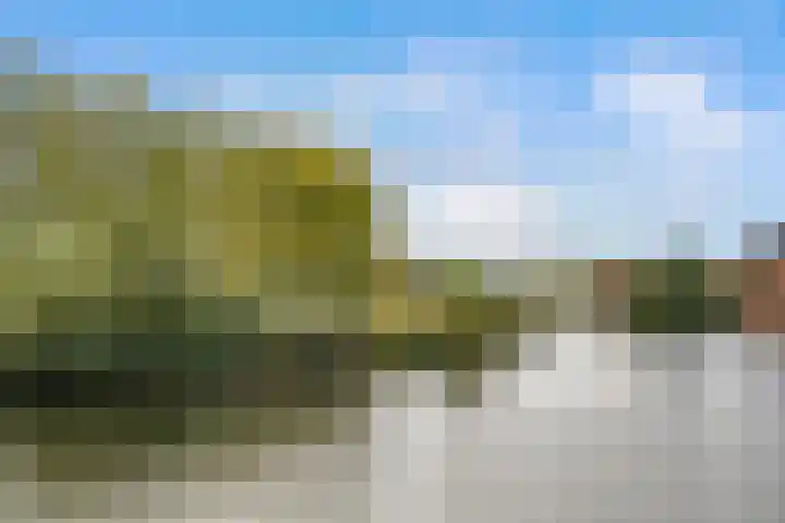 Agaatlaan 19 Rhoon thumbnail 39