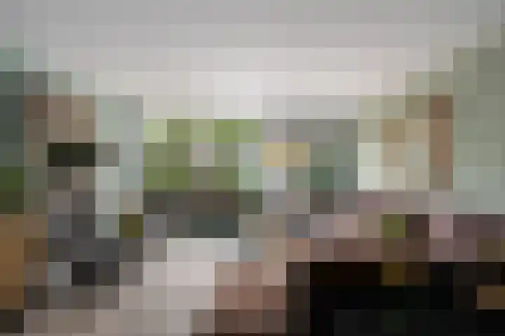 Agaatlaan 19 Rhoon thumbnail 8