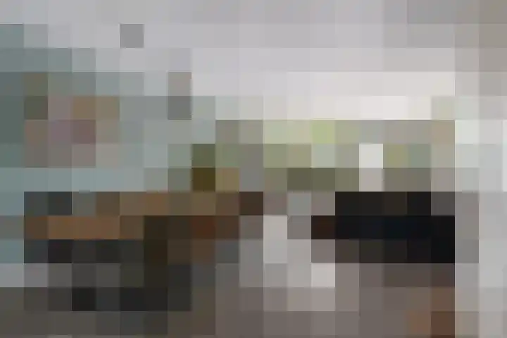Agaatlaan 19 Rhoon thumbnail 9