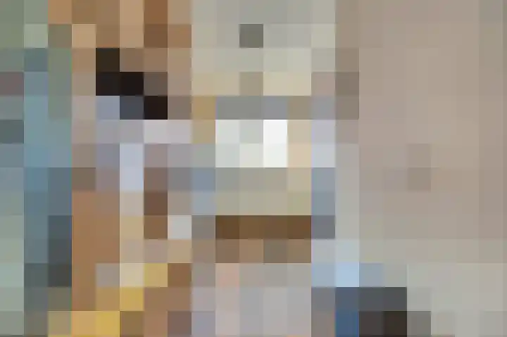Agaatlaan 21 Rhoon thumbnail 13