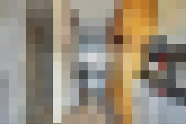 Agaatlaan 21 Rhoon thumbnail 15