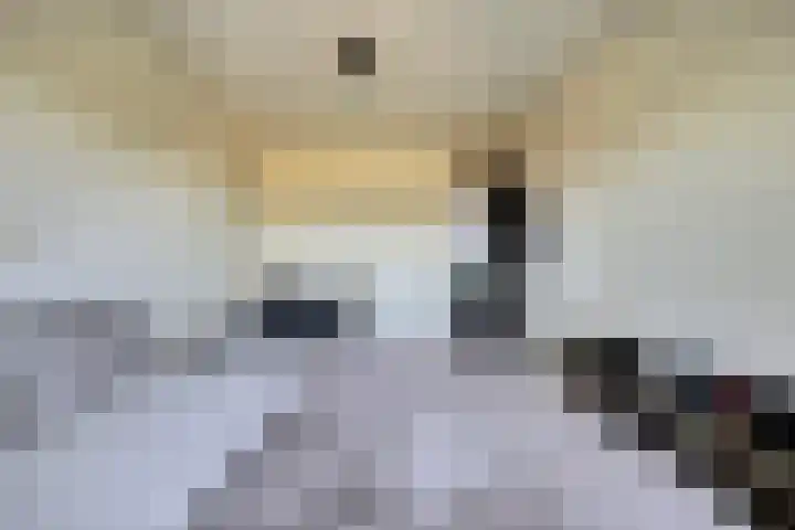 Agaatlaan 21 Rhoon thumbnail 28