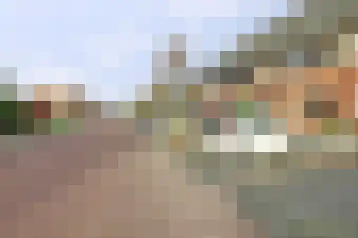 Agaatlaan 21 Rhoon thumbnail 5