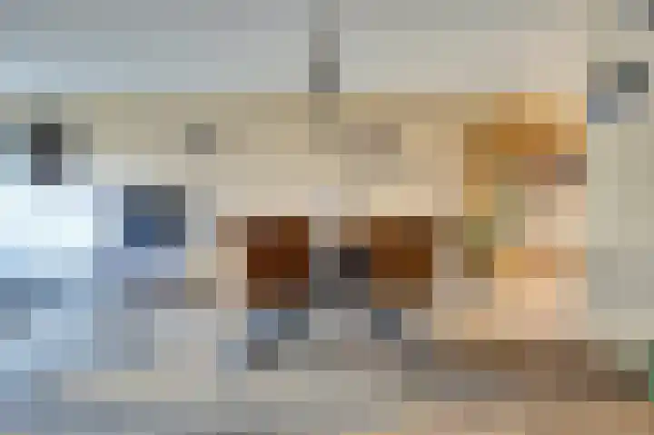 Agaatlaan 21 Rhoon thumbnail 9