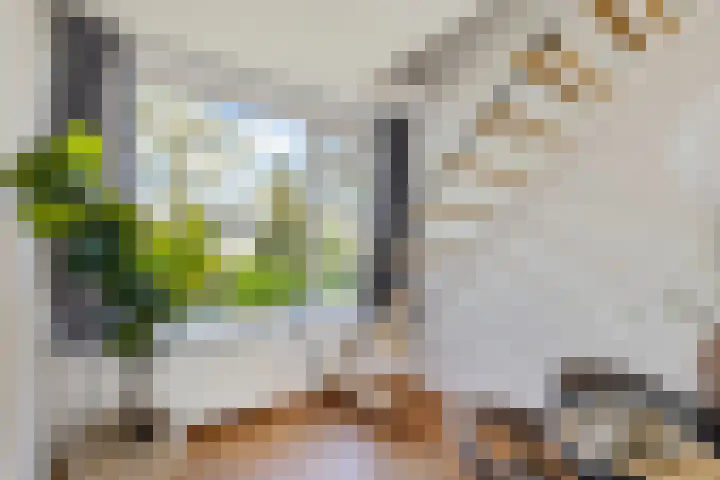 Agaatlaan 23 1 Utrecht thumbnail 17