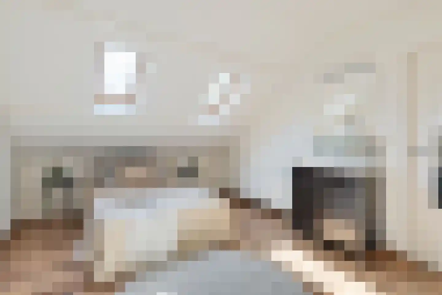 Agaatlaan 23 1 Utrecht thumbnail 18