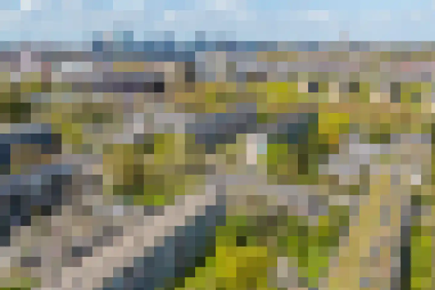 Agaatlaan 23 1 Utrecht thumbnail 26