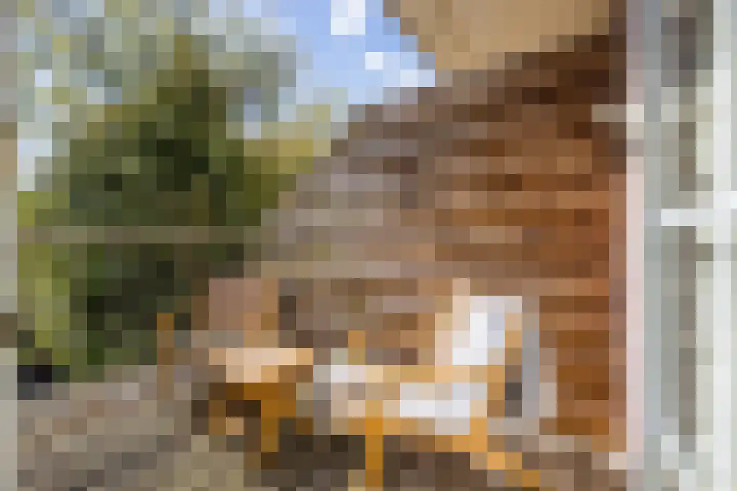 Agaatlaan 23 1 Utrecht thumbnail 7