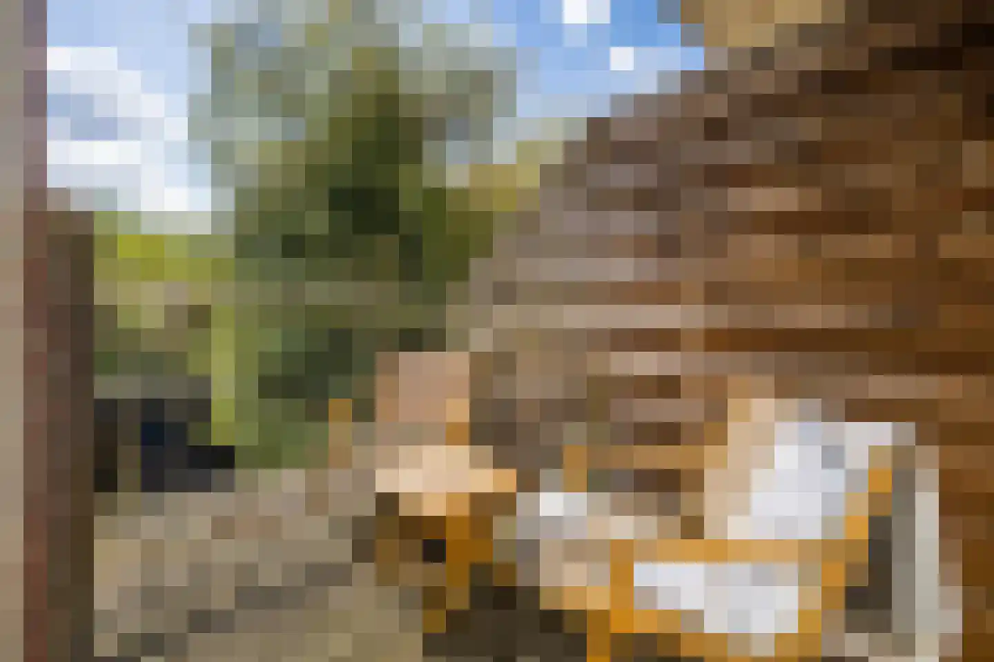 Agaatlaan 23 1 Utrecht thumbnail 8
