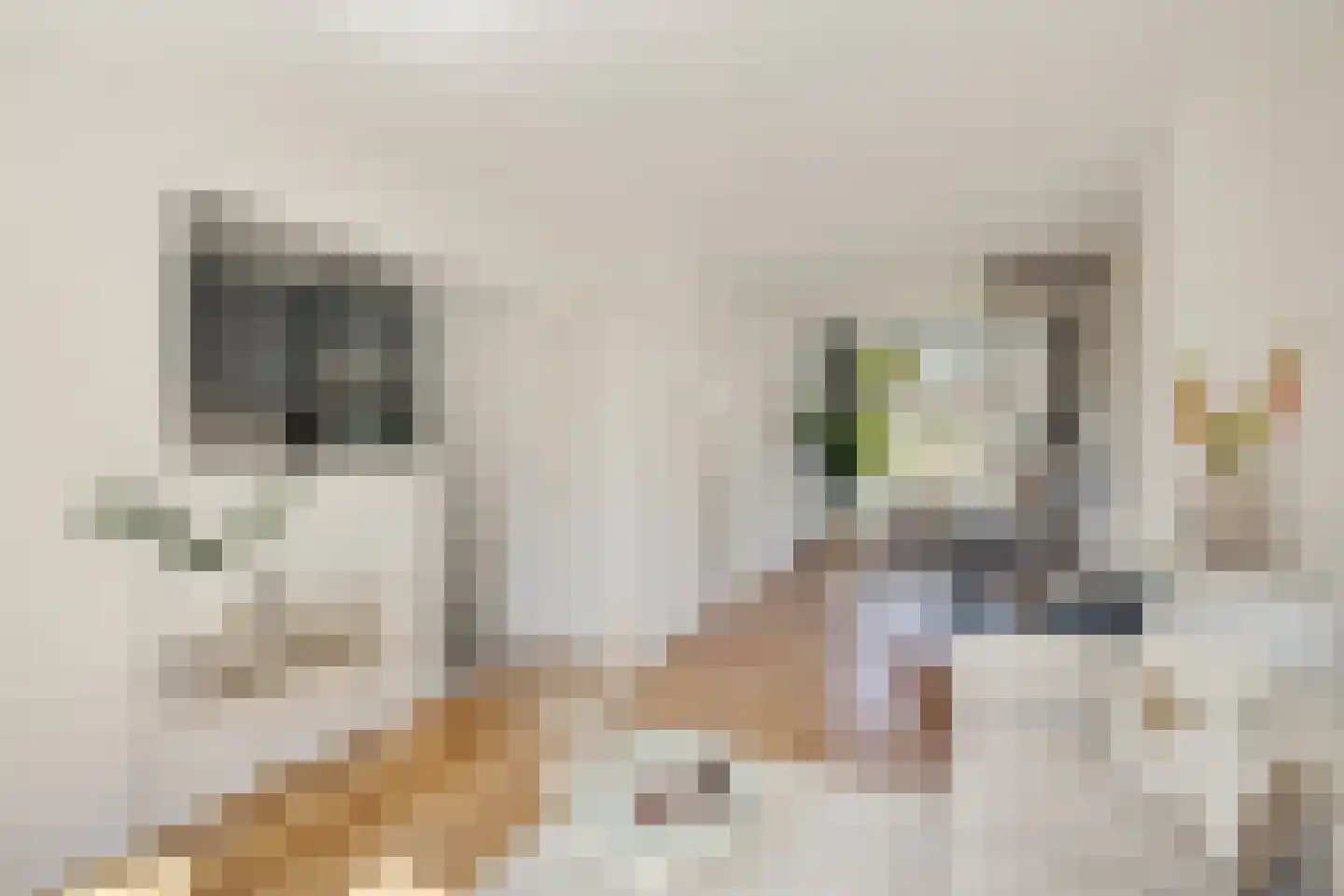 Agaatlaan 23 1 Utrecht thumbnail 9