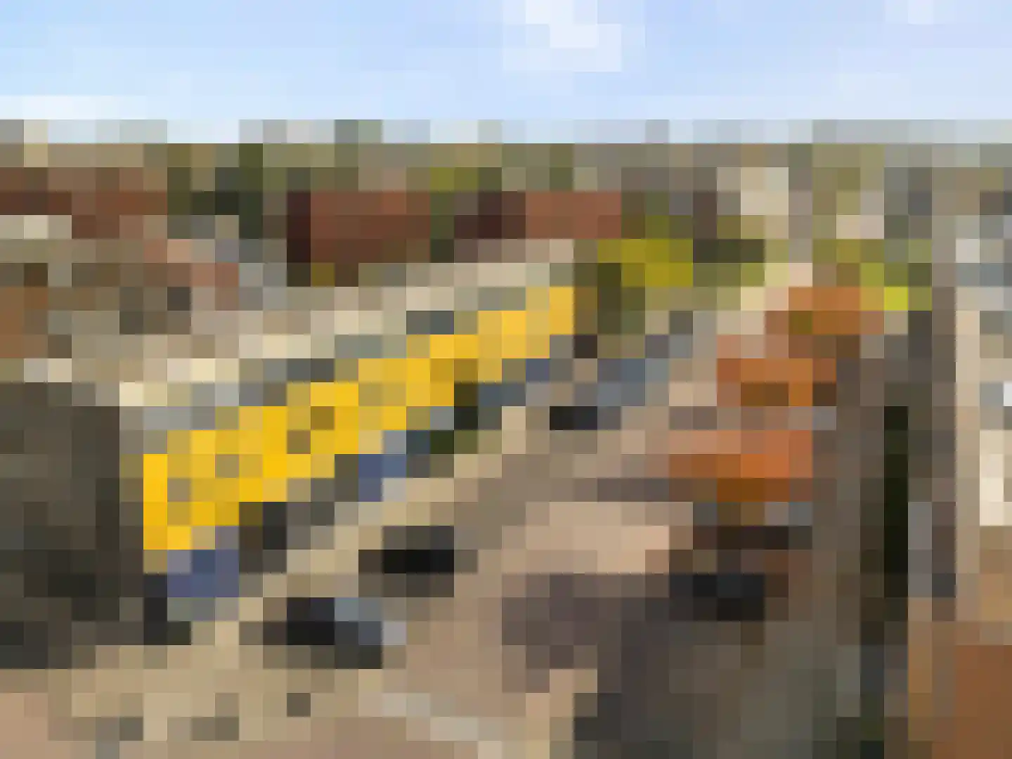 Agaatlaan 33 Rhoon thumbnail 38