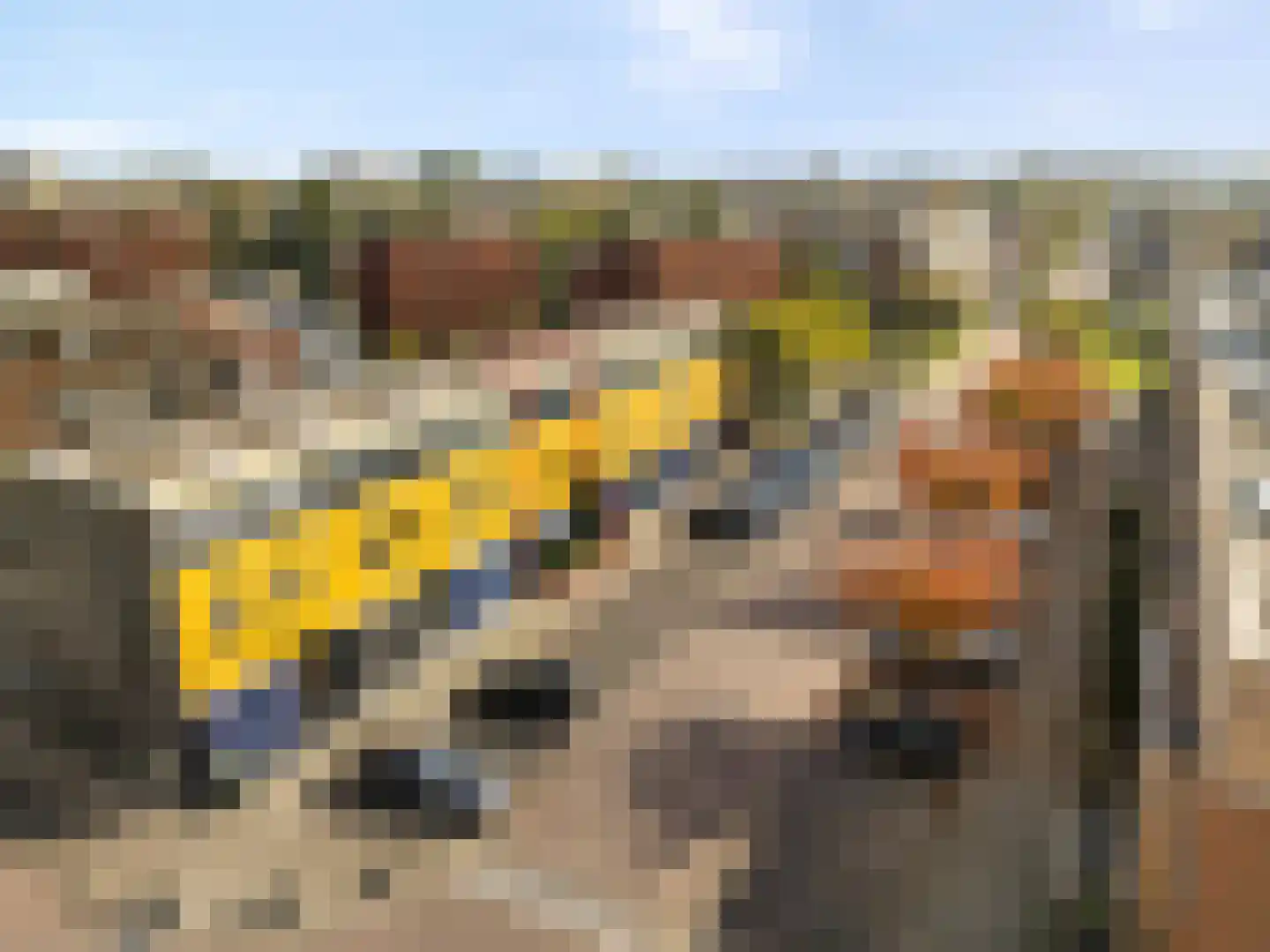 Agaatlaan 33 Rhoon thumbnail 39
