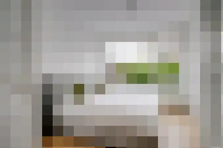 Agaatlaan 9 Utrecht thumbnail 16