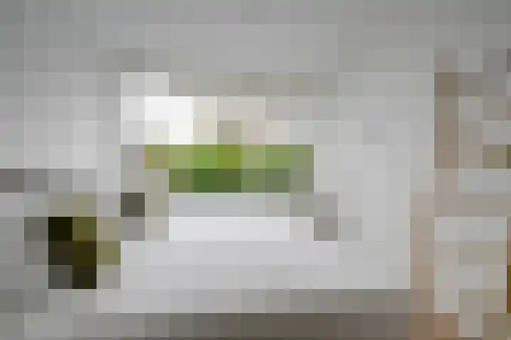 Agaatlaan 9 Utrecht thumbnail 18