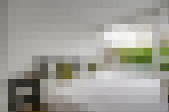 Agaatlaan 9 Utrecht thumbnail 19