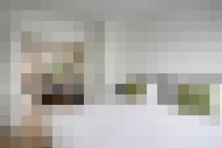 Agaatlaan 9 Utrecht thumbnail 20
