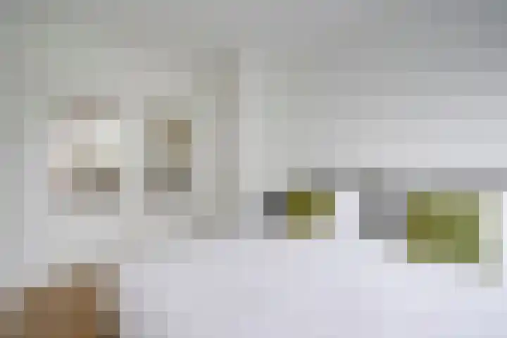 Agaatlaan 9 Utrecht thumbnail 21