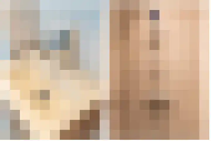Agaatlaan 9 Utrecht thumbnail 23