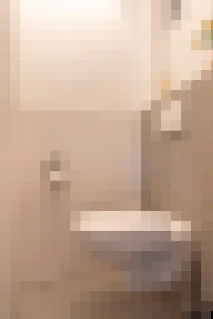 Agaatlaan 9 Utrecht thumbnail 24