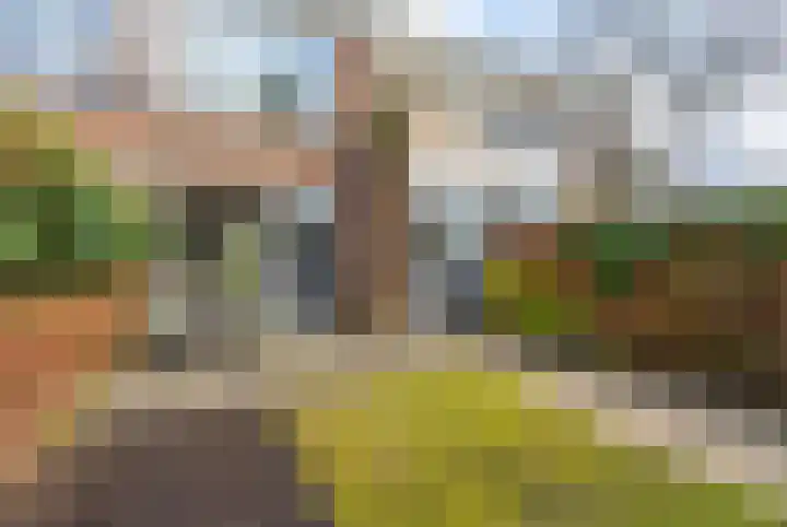 Agaatlaan 9 Utrecht thumbnail 25