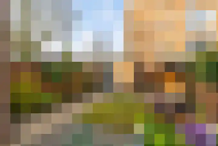 Agaatlaan 9 Utrecht thumbnail 26