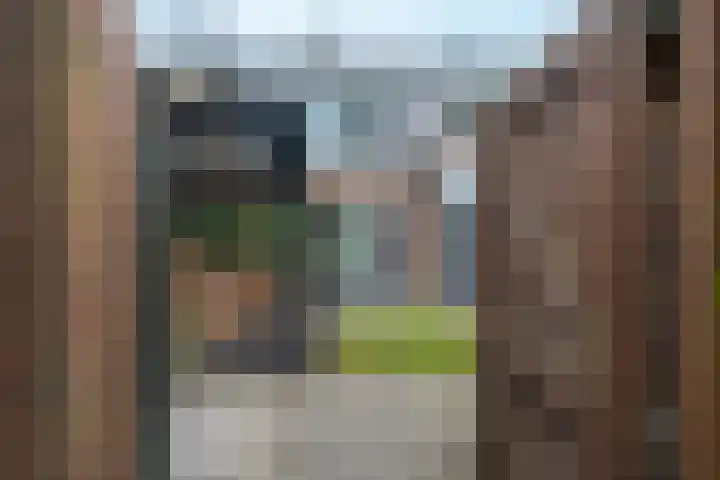 Agaatlaan 9 Utrecht thumbnail 28