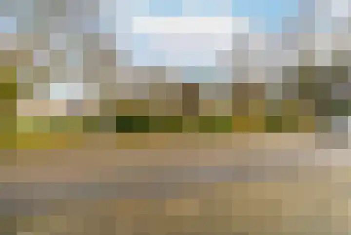 Agaatlaan 9 Utrecht thumbnail 29