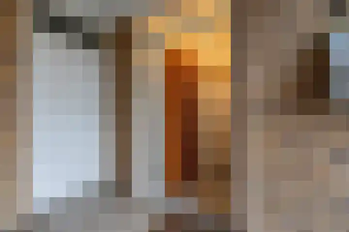 Agaatlaan 9 Utrecht thumbnail 30